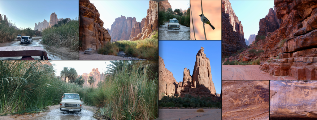 schermafbeelding 2026 01 26 om 20.59.02